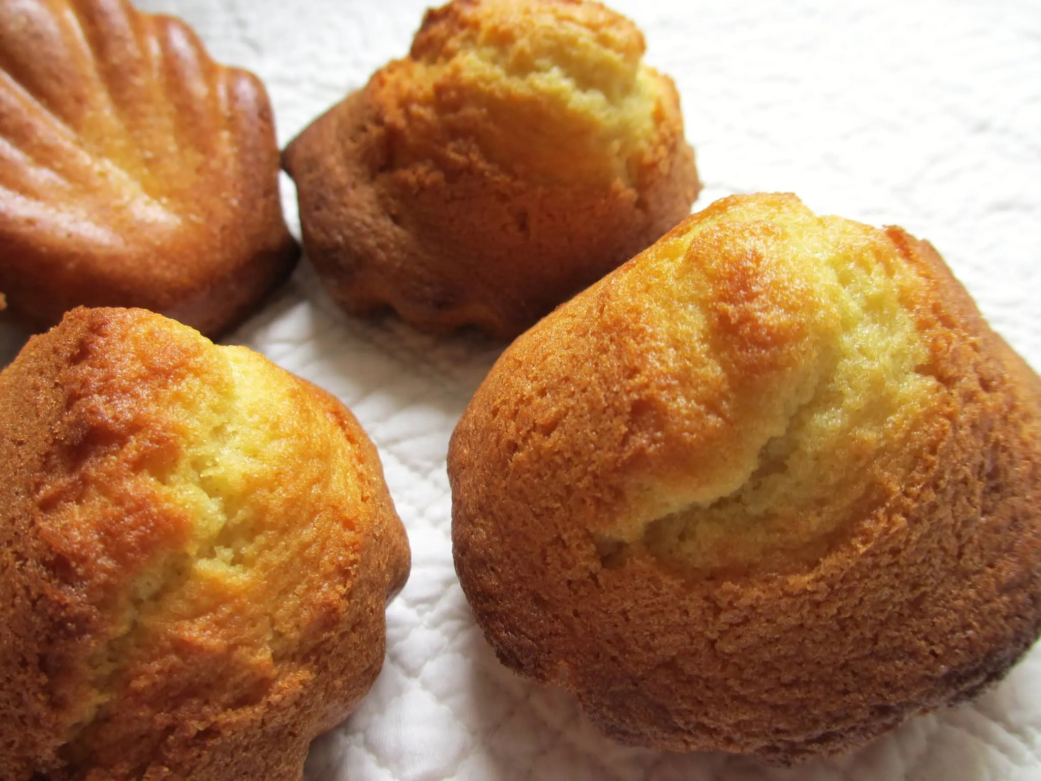MADELEINES À LA FLEUR D&rsquo;ORANGER