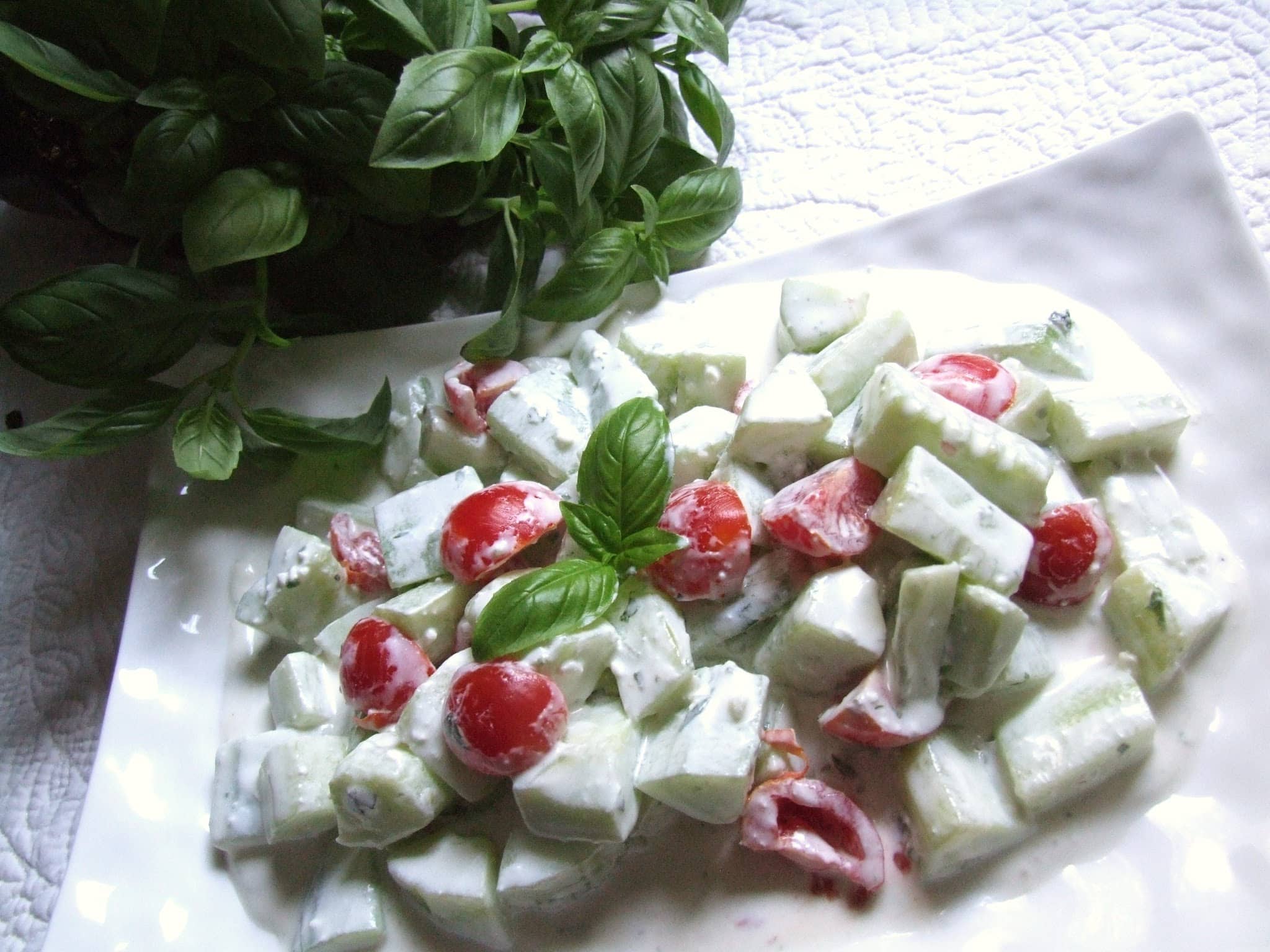 ENTRE TZATZIKI ET SALADE GRECQUE