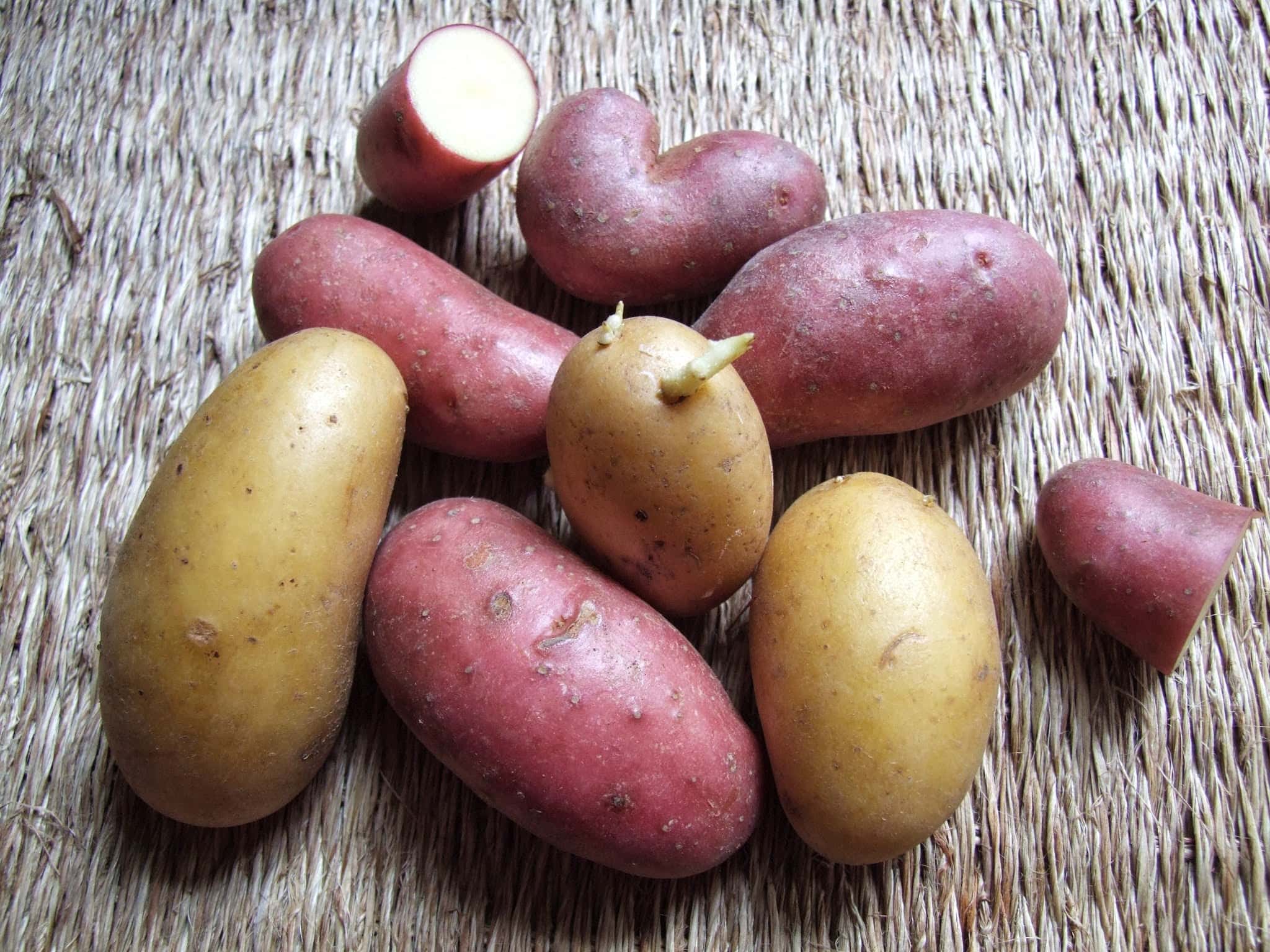ÉLOGE DE LA PATATE