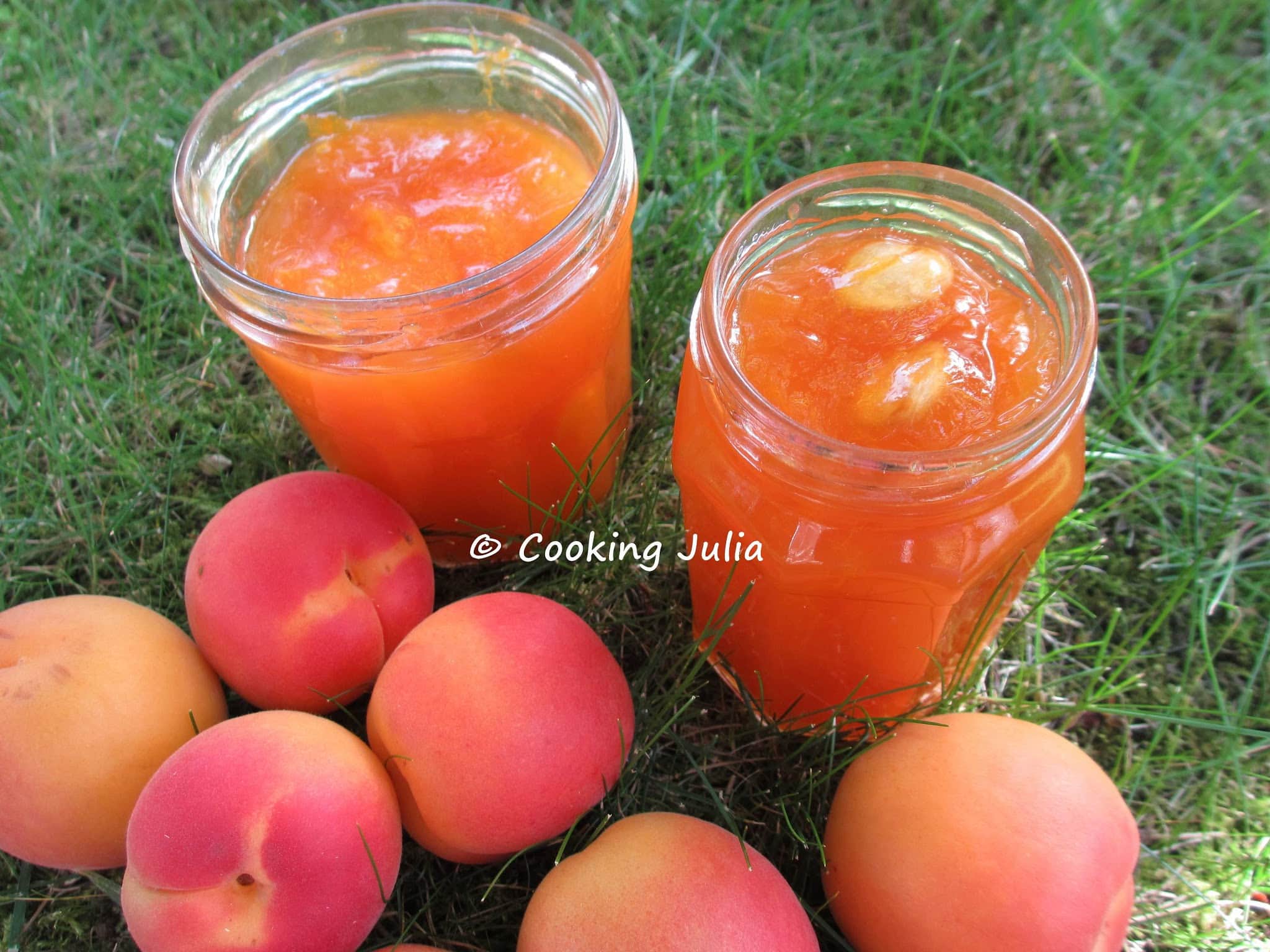 TOP 5+5 DES RECETTES DU MOIS DE JUILLET 2015
